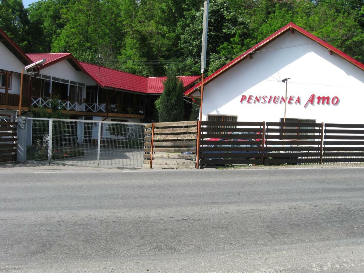 Pensiunea Amo Vălenii de Munte Exterior foto