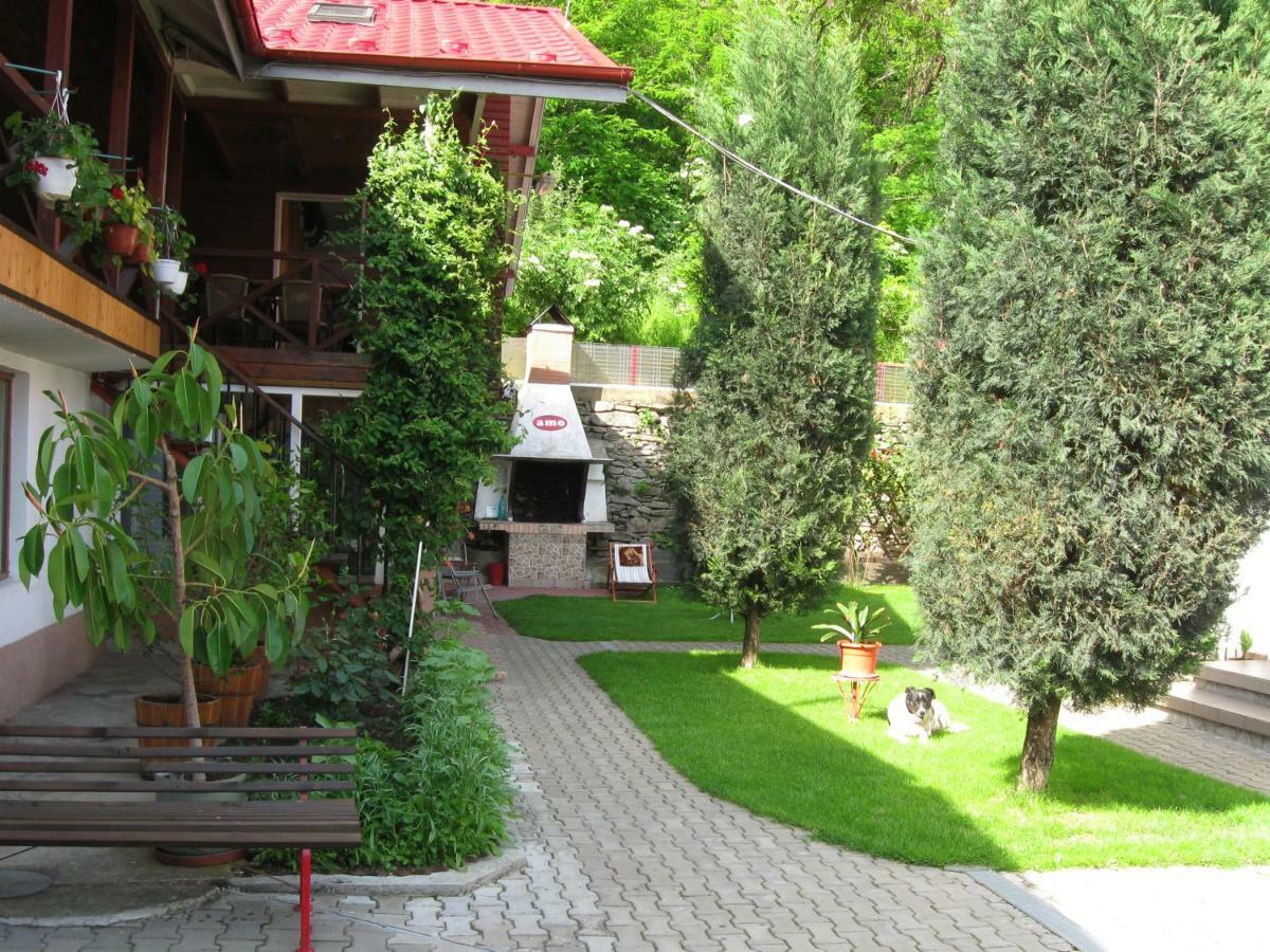 Pensiunea Amo Vălenii de Munte Exterior foto