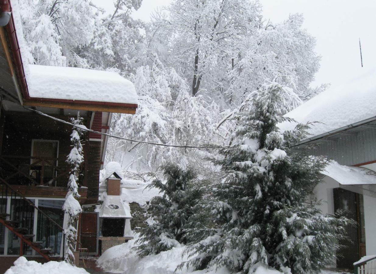 Pensiunea Amo Vălenii de Munte Exterior foto